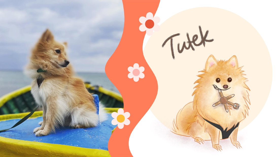 Tutu the Feisty Pup: A Custom Pet Portrait That Captured His Spirit